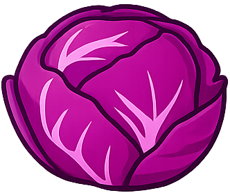 Cabbage
